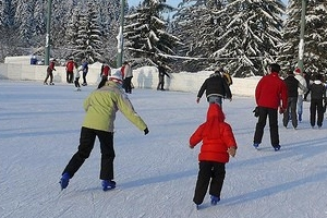 PATINOAR - Complexul Sportiv Național Poiana Brașov