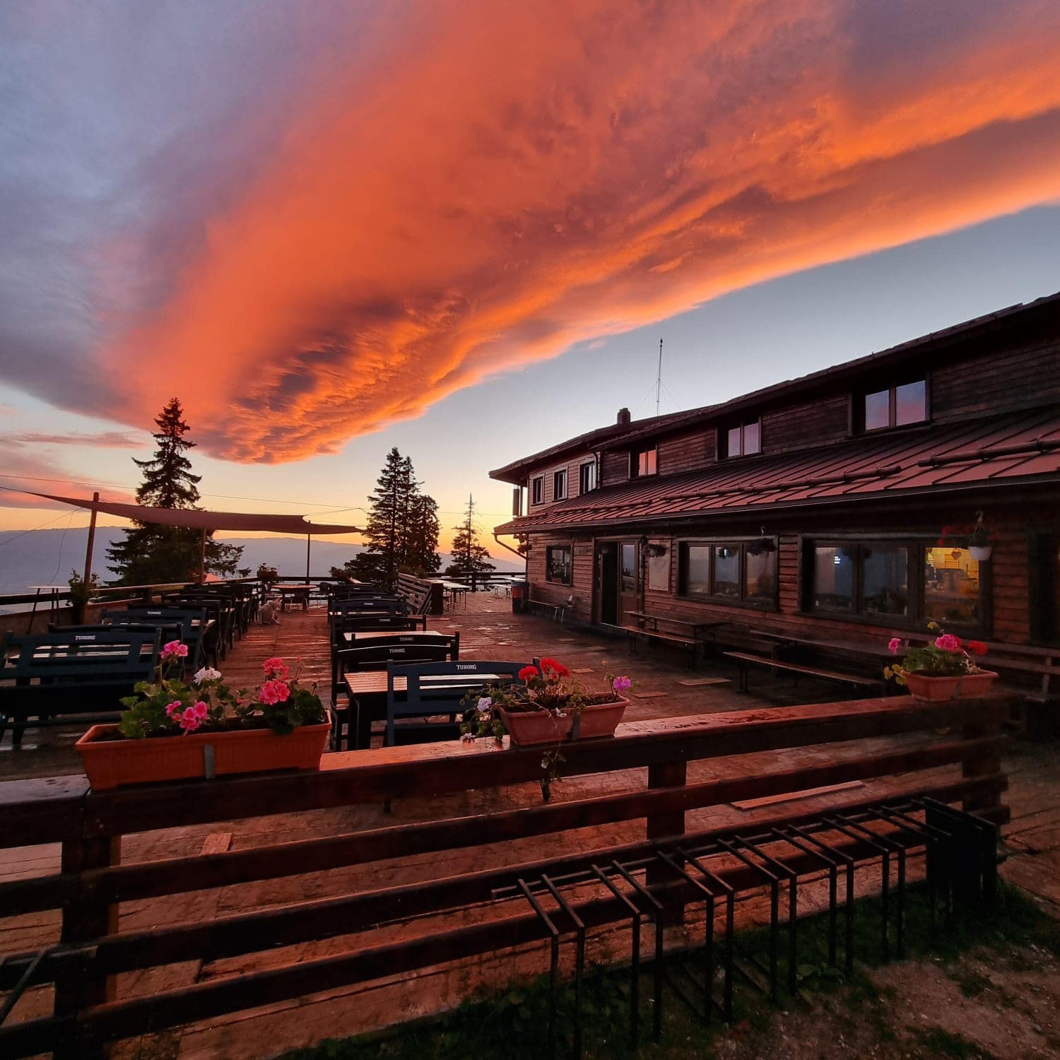 RESTAURANT CABANA POSTĂVARU